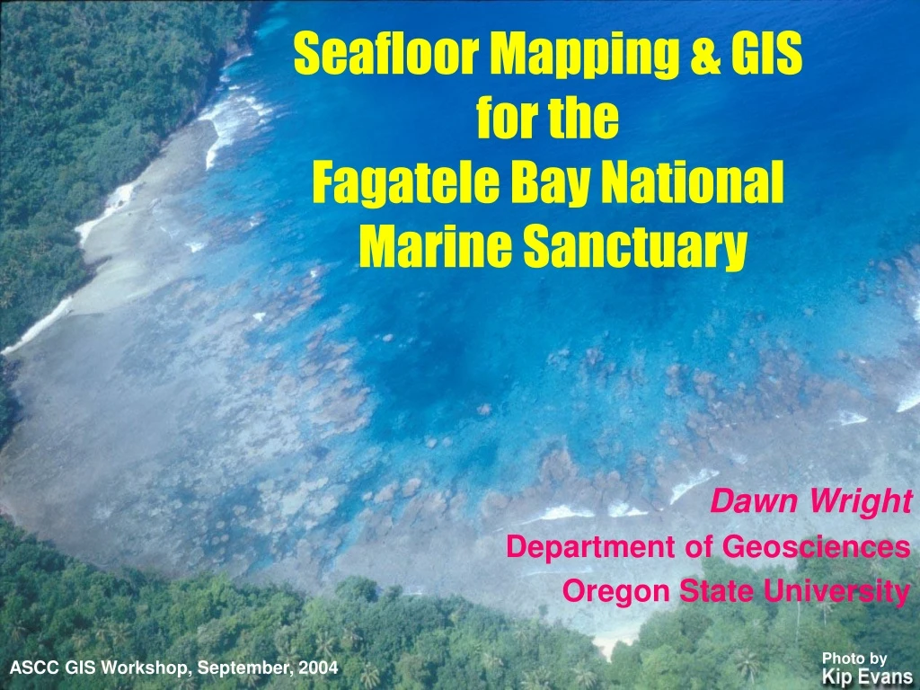 seafloor mapping gis for the fagatele
