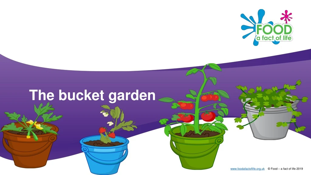 the bucket garden