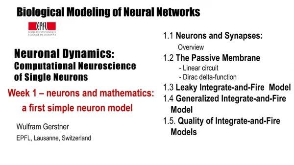 Neuronal Dynamics: Computational Neuroscience of Single Neurons