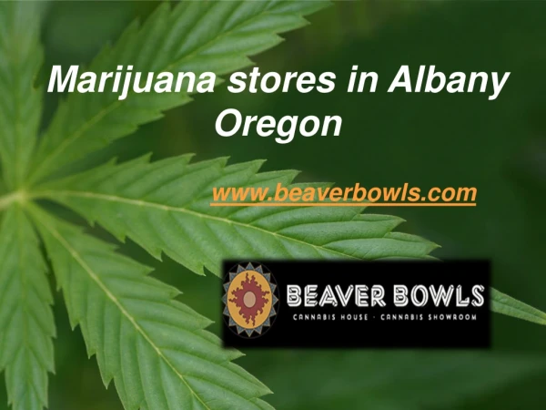 Marijuana stores in Albany Oregon - www.beaverbowls.com