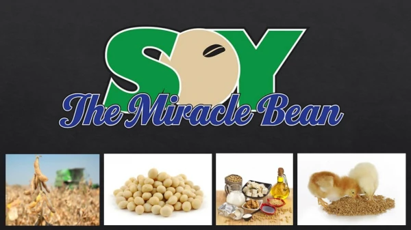 What’s a Soybean...