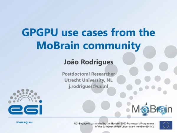 GPGPU use cases from the MoBrain community