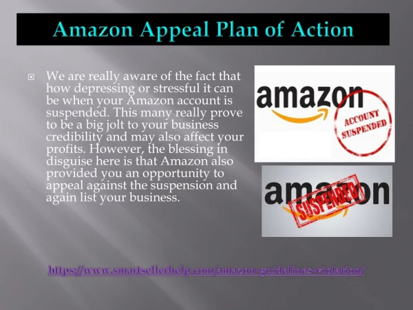 Best Services For Amazon Account Suspended Appeal-Smart Seller Help