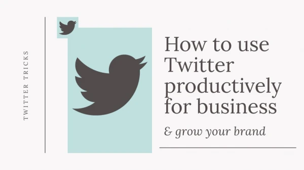 How to use Twitter productively for business & grow your brand