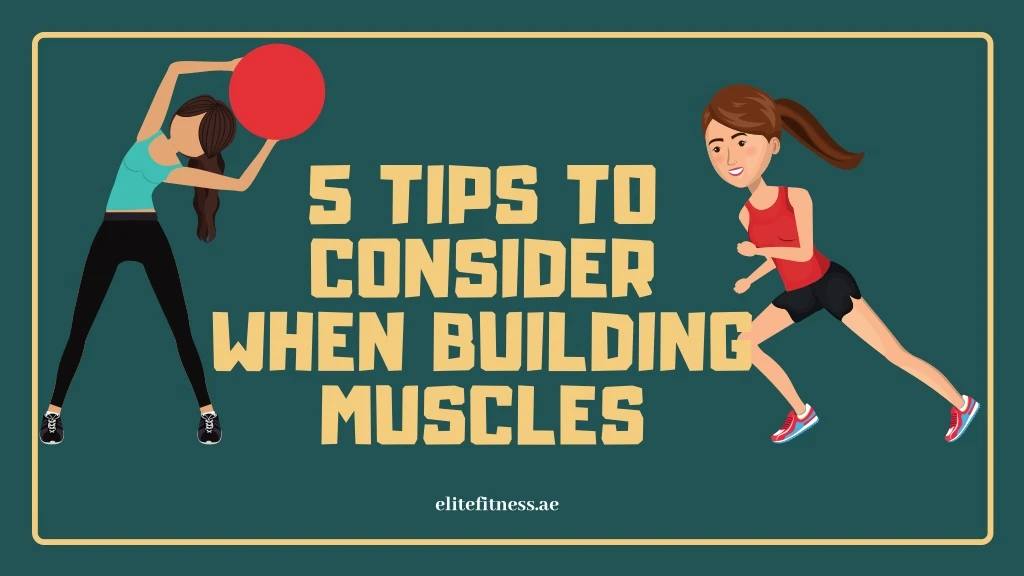 5 tips to consider when building muscles