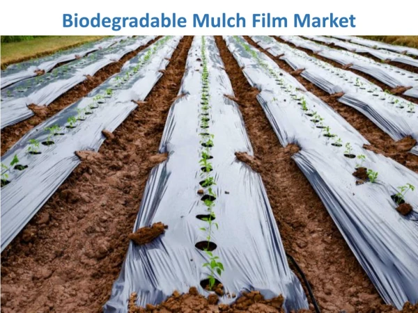Biodegradable Mulch Film Market Expected to Reach $62,039 Thousand by 2023