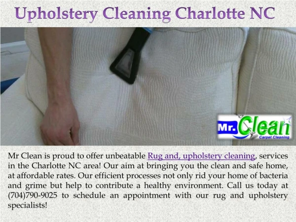 Rug and Upholstery Cleaning Services Charlotte