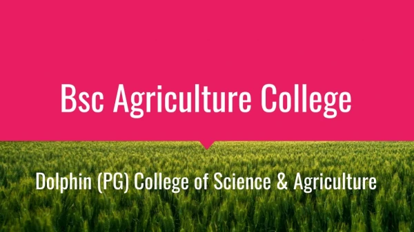 BSc Agriculture Colleges in Punjab