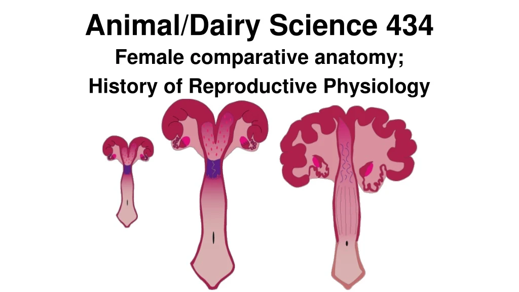 animal dairy science 434