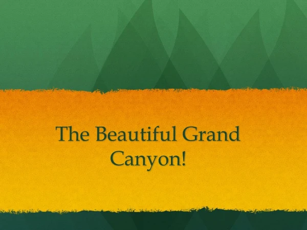 The Beautiful Grand Canyon!