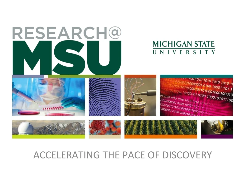 research at msu