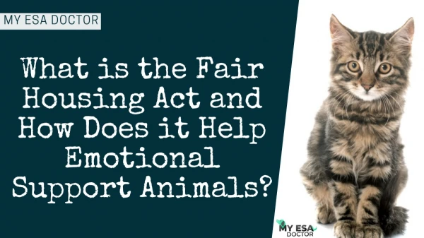 What is the Fair Housing Act and How Does it Help Emotional Support Animals?