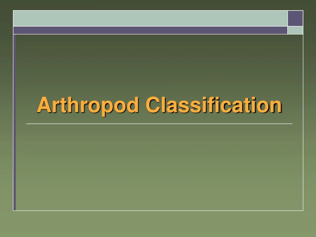 arthropod classification