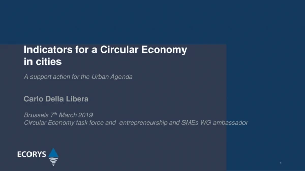 Indicators for a Circular Economy in cities