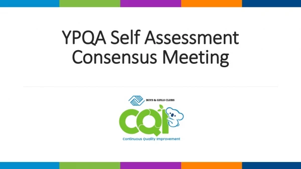 YPQA Self Assessment Consensus Meeting