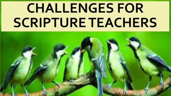Challenges for scripture teachers