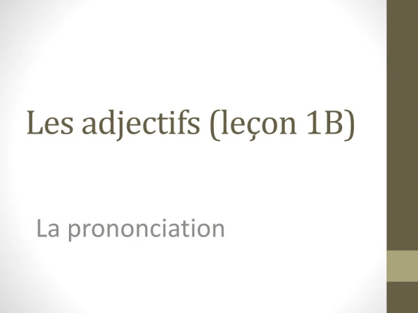 Les adjectifs ( leçon 1B)