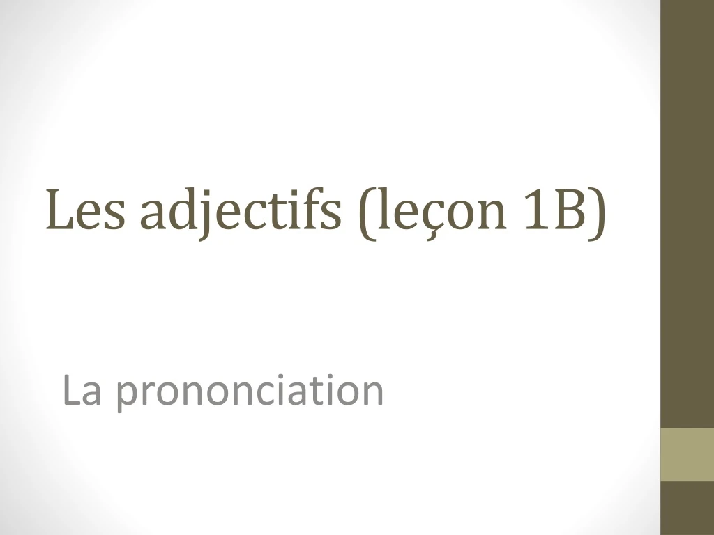 les adjectifs le on 1b