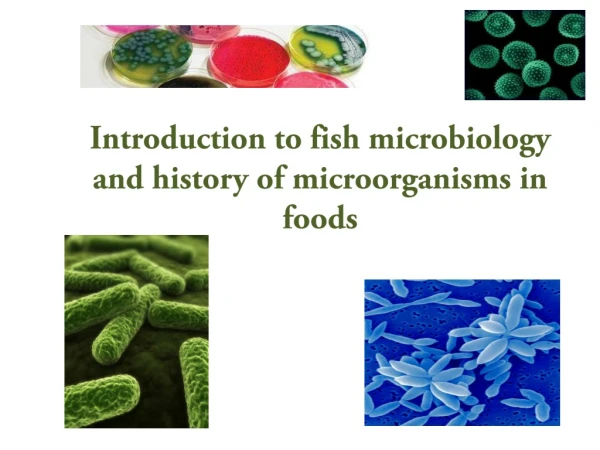 Introduction to fish microbiology and history of microorganisms in foods
