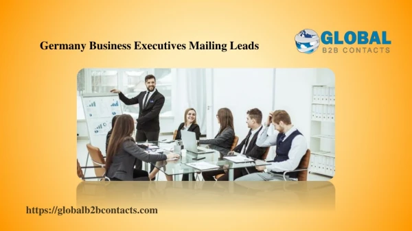 Germany Business Executives Mailing Leads