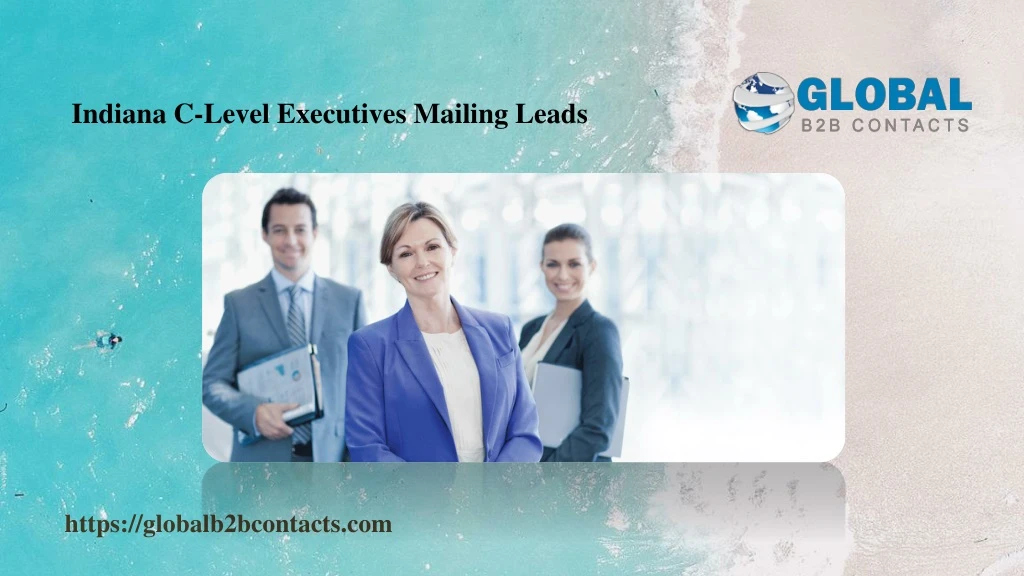 indiana c level executives mailing leads