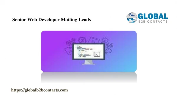 Senior Web Developer Mailing Leads