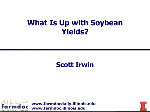 What Is Up with Soybean Yields?