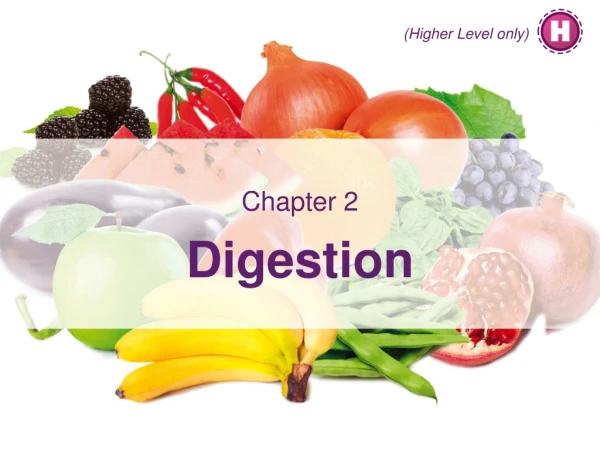 Chapter 2 Digestion