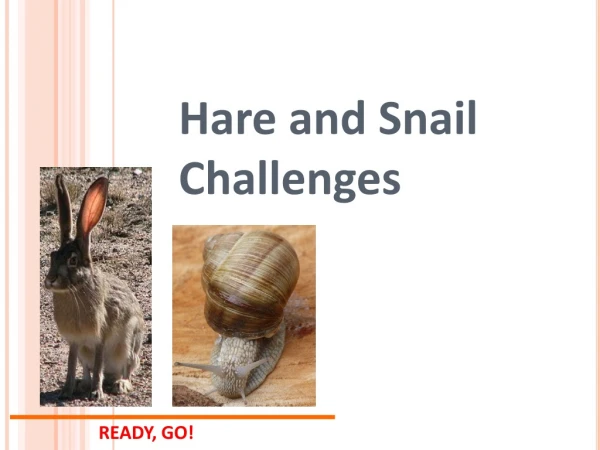 Hare and Snail Challenges