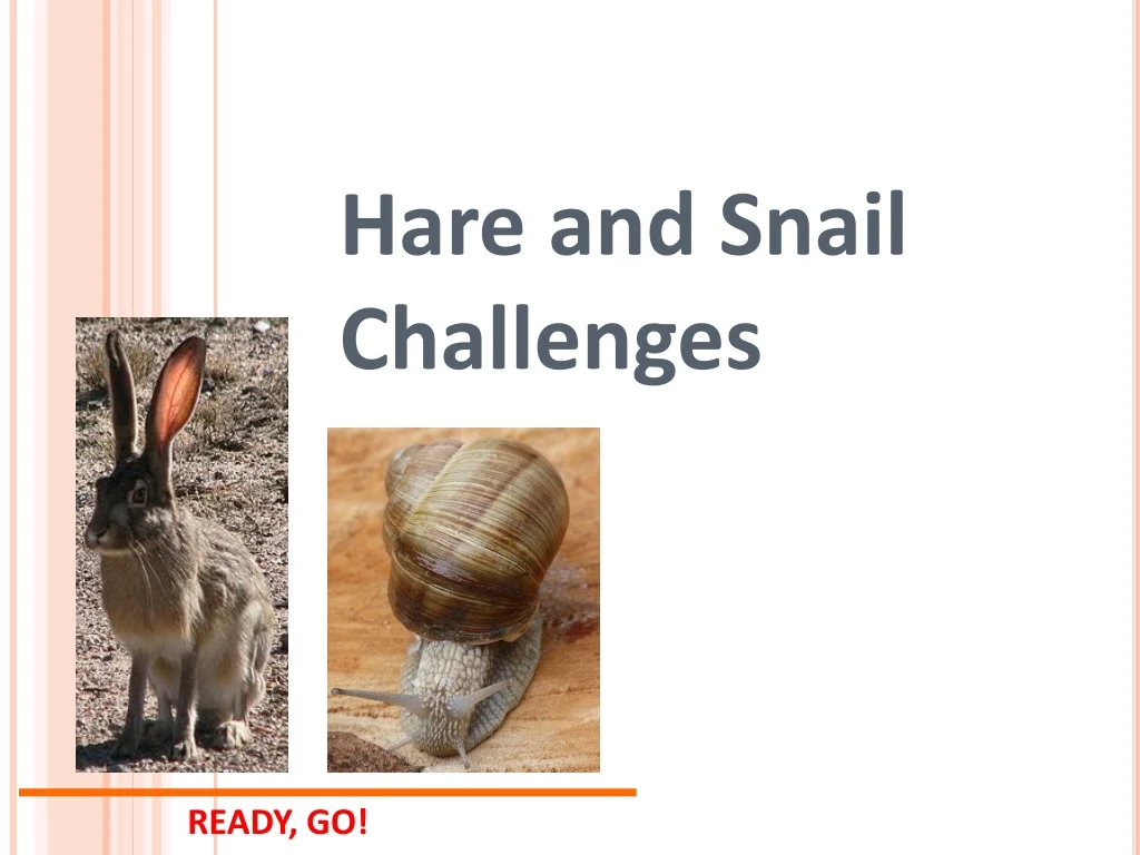 hare and snail challenges