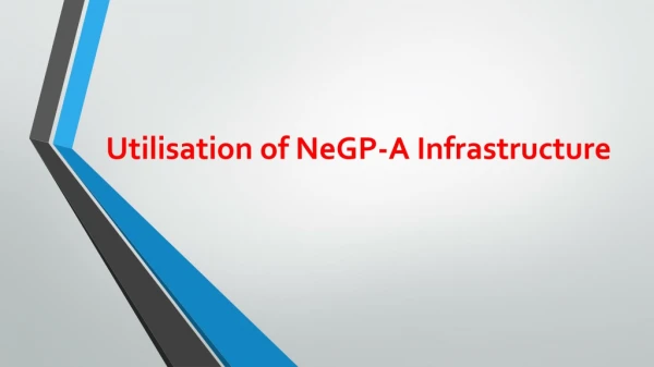Utilisation of NeGP-A Infrastructure