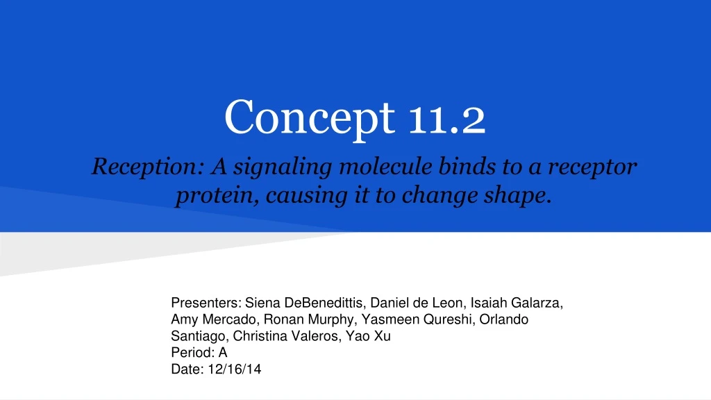 concept 11 2