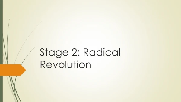 Stage 2: Radical Revolution