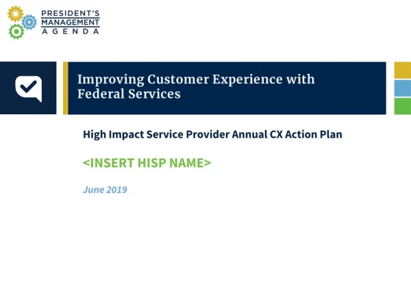 High Impact Service Provider Annual CX Action Plan