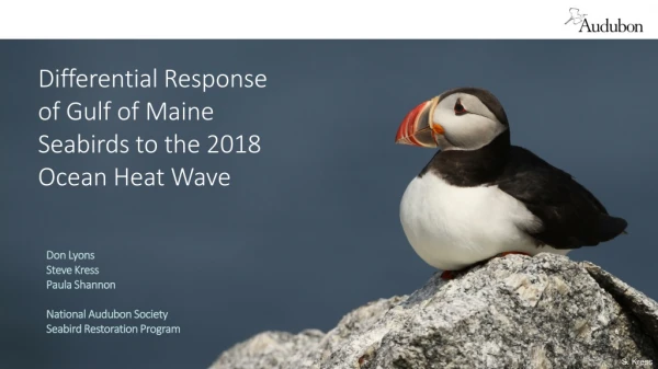 Differential Response of Gulf of Maine Seabirds to the 2018 Ocean Heat Wave