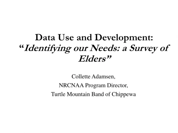 Data Use and Development: “ Identifying our Needs: a Survey of Elders”