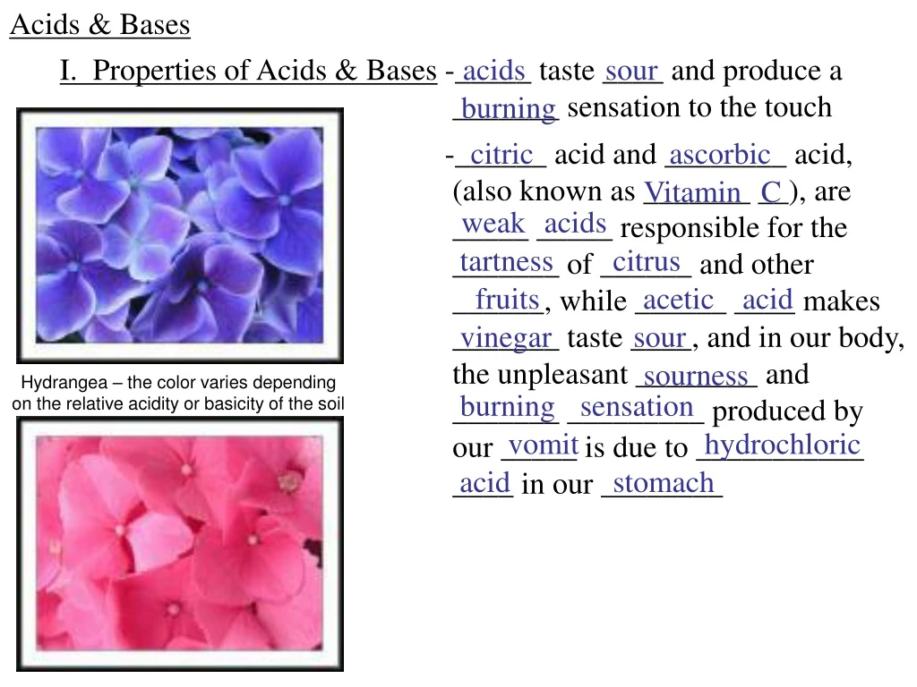 acids bases