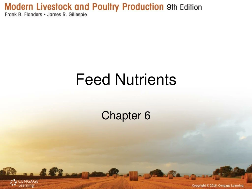 feed nutrients