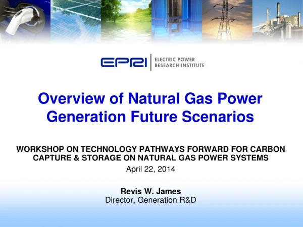 Overview of Natural Gas Power Generation Future Scenarios