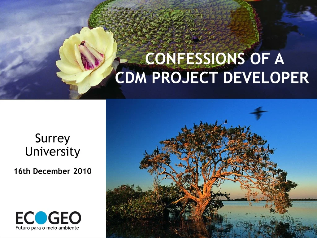 confessions of a cdm project developer