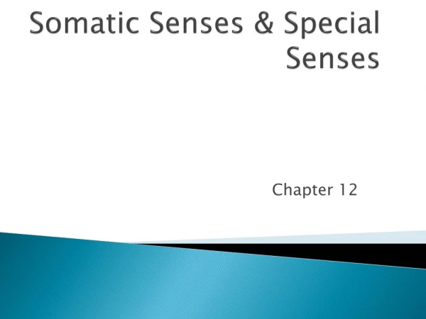 Somatic Senses &amp; Special Senses