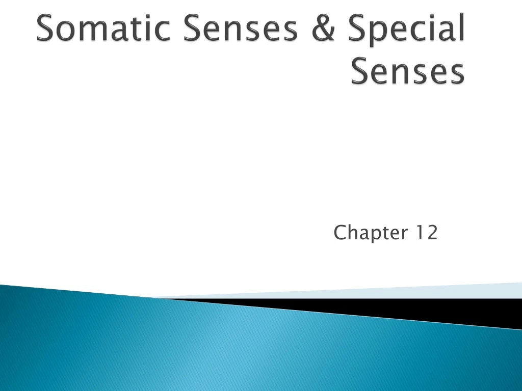 somatic senses special senses