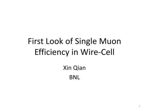 First Look of Single Muon Efficiency in Wire-Cell