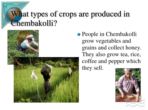 What types of crops are produced in Chembakolli?