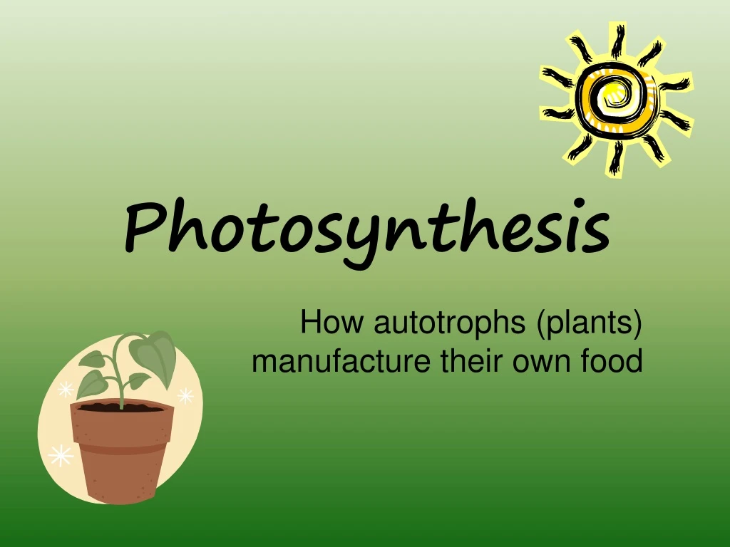 photosynthesis