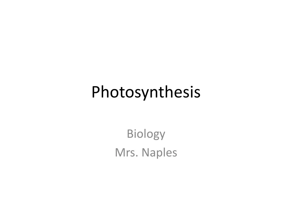 photosynthesis