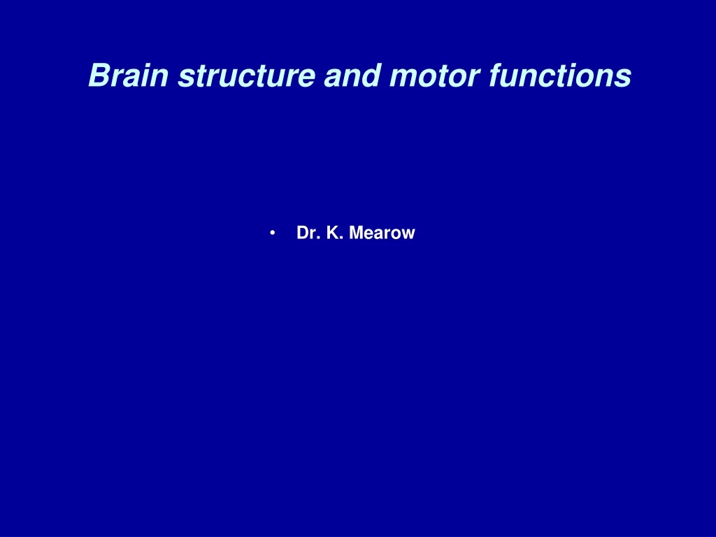 brain structure and motor functions