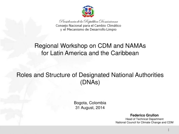 Regional Workshop on CDM and NAMAs for Latin America and the Caribbean