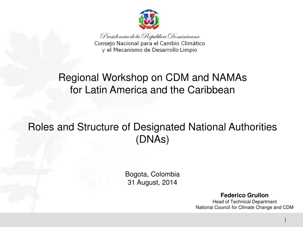 regional workshop on cdm and namas for latin