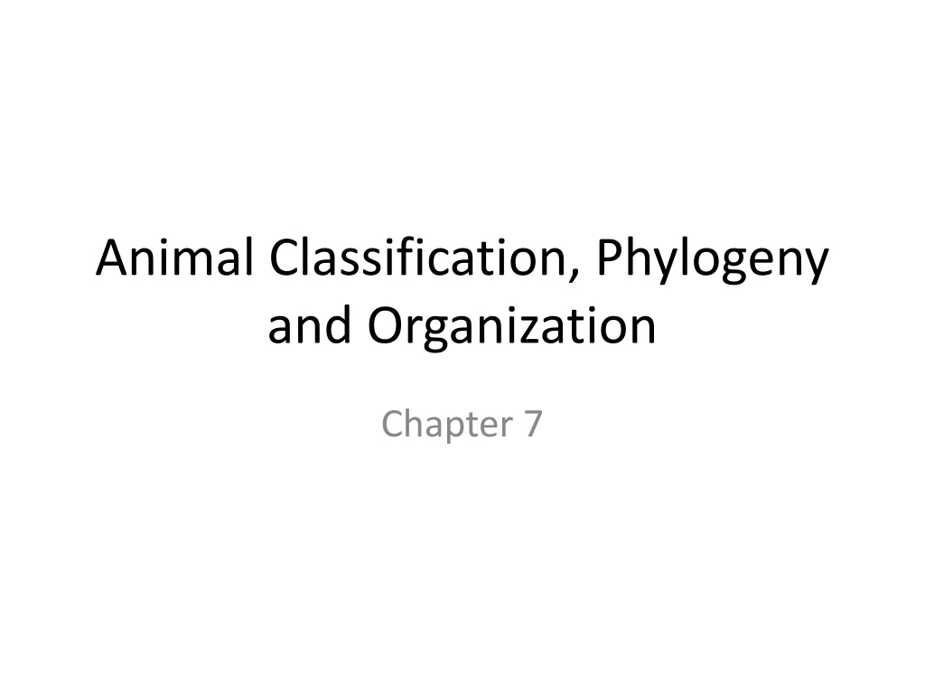 animal classification phylogeny and organization